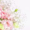 女帝力の今後の活動